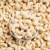 Top Quality cashew nuts price cashew nuts with flavors cashew nuts to purchase