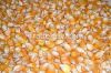 White Corn For sale