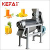 KEFAI High Quality  Fruit Vegetable Juice Extractor Machine Cold Press Juicer Extractor Machine