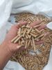 Wood Pellet