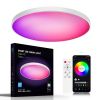 24WIntelligent ceiling light RGB+CCT