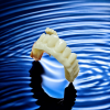 Dental A1A2A3 high-strength temporary crown bridge UV resin