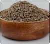 Cumin Seed