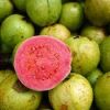Fresh Guava for sale
