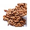 suppliers Pine Nuts, Pecan Nuts, Pine Kernels