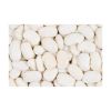 Wholesale Price Supplier of Large Lima Beans Bulk Stock With Fast Shipping