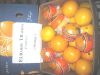 Sell egyption fresh orange