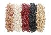 Kidney Beans , We Have White, Red, Black and Others for Sale
