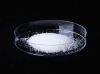 sell Sodium Hyaluronate Hyaluronic acid sodium salt Food Grade