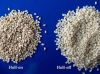 Organic Un Hulled (Natural) Sesame Seeds