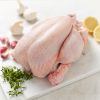 Wholesale Best Price Supplier Frozen Chicken cheapest whole raw chicken Fast Shipping