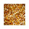 Pure natural Bags Organic Sweet Dry Baby Corn Yellow Maize Corn / Best Quality GRADE 1 Non GMO White and Yellow Corn