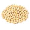 HIGH PURITY BENIN NON GMO SOYBEAN SEED HIGH PROTEIN SOYBEAN SEED