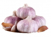 Natural Fresh White Garlic For Sale