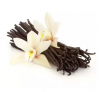 100% Pure Dark Vanilla Beans Grade AA 110-20cm Vanilla Bean For Baking