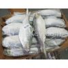 WHOLESALE FROZEN HILSA FISH