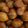 hazelnut in shell