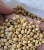 High Quality Soya Bean Abailable in UA