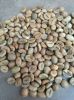 Quality Green Robusta Coffee Beans