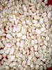 quality white maize