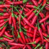 Red fresh chili pepper