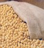 Brazilian Yellow Soybeans NON GMO