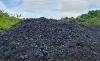 Indonesian Steam Coal GCV 4200 GCV5800