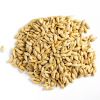 Barley Grains Premium Barley Seeds/Animal feed barley