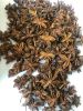[Dongguan Xingrunlong Foo