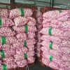 Cheap Garlic For Sale