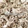 Dried Oyster Mushroom