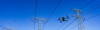 recruit agent for drone inspection service