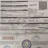 Diesel Gasoil(EN590 10ppm EURO V)