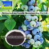 Sell Blueberry Extract(Anthocyanin 5%-70%)