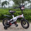 Sell 2012 NEW Model Classics Popular and best selling MTB bmx bike TNT