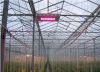 Sell LED plant grow light 300W