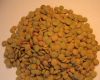 Lentils green