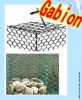 Sell pvc coated gabion stone baskets best price and good quality