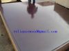 Sell Film Faced Plywood