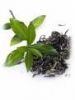 Green Tea  Extract by India's No.1 Herbal Extract Supplier