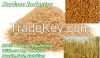 Feed Ingredient Wheat Bran Flake for Animal