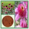 Echinacea Herb Extract