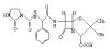 Azlocillin