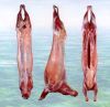 Export Buffalo Meat | Cow Meat Suppliers | Beef Exporters | Sheep Meat Traders | Goat Meat Buyers | Lamb Meat Wholesalers | Low Price Cow Meat | Buy Sheep Meat | Import Beef | Buffalo Meat Importers 