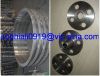 SELL FORGED STEEL FLANGES