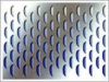 Sell YQ-Perforated Metal sheet