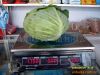 fresh cabbage