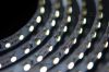 Sell 3528 flexible strip line led