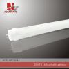 Sell T8 LED Tube Light