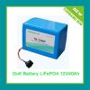 Sell 2011New Arrival LiFePO4 Golf Battery 12V 40Ah with BMS